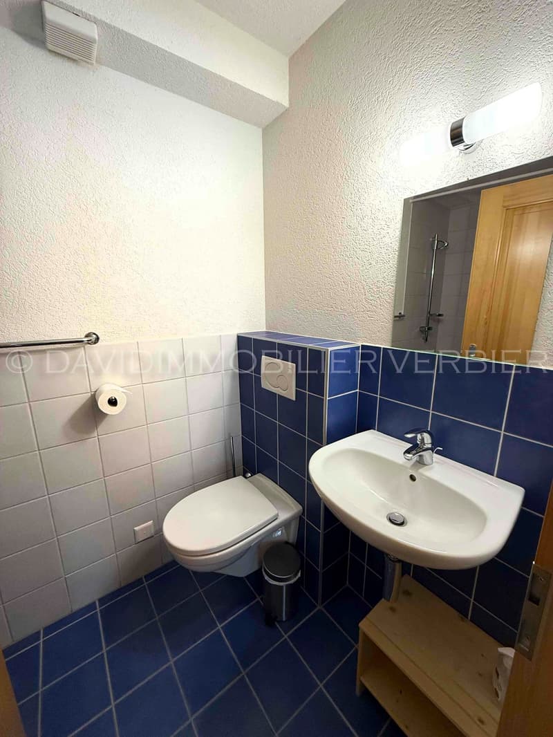 Somptueux Chalet familiale 5* 5 chambres à Cries (Val de Bagnes-Verbier) (54)