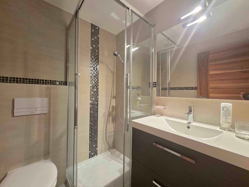 modern bathroom, white bathtub, white toilet, white sink, shower, glass door, wooden wall, mirrors