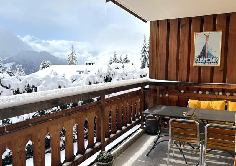 covered balcony, wooden railing, table and chairs, potted plant, snowy landscape