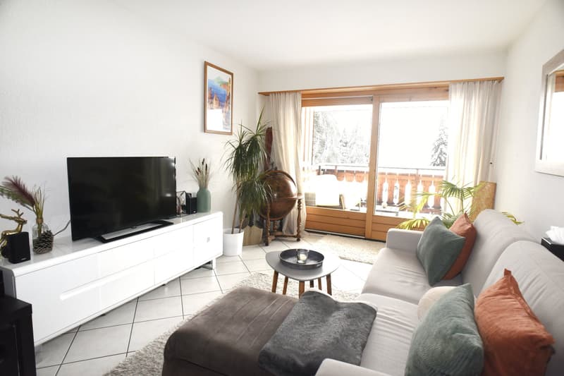 large sofa, tv, coffee table, potted plants, wooden balcony visible