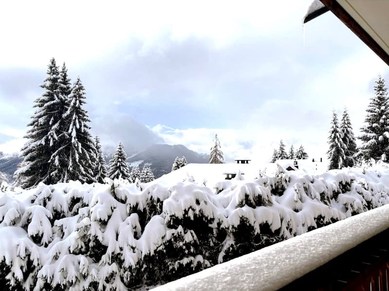 covered in snow with a house in the background