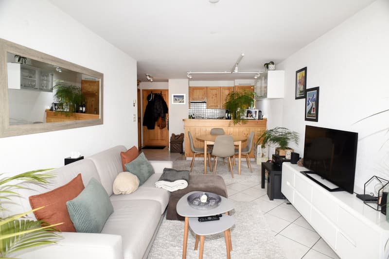 Open space, modern furniture, flat screen TV, wooden table and chairs, large mirror, carpet, plants