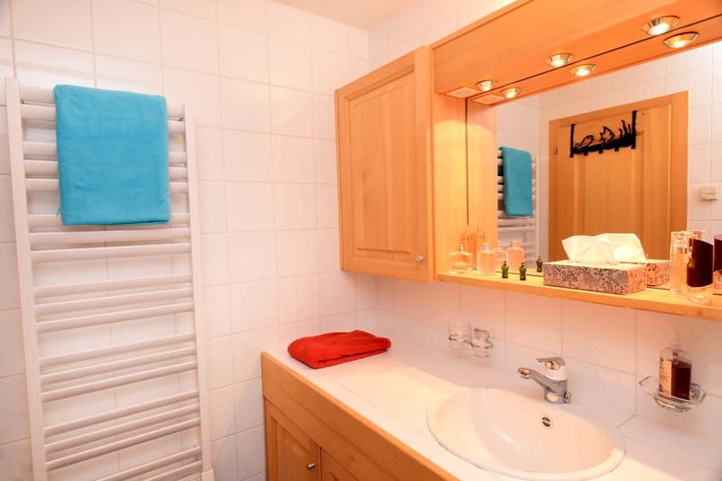Bathroom with sink, mirror, cabinet, towels, and shelves
