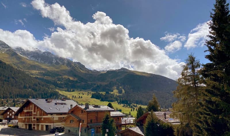 Mountain village in the Swiss Alps, houses with wooden facades, green grass, forested mountains, clear blue sky, mountains in the background