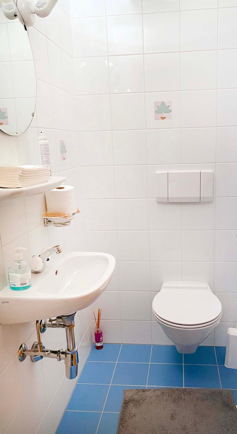 Bathroom with white and blue tiles, sink, toilet, mirror, toilet paper holder, soap, small rug