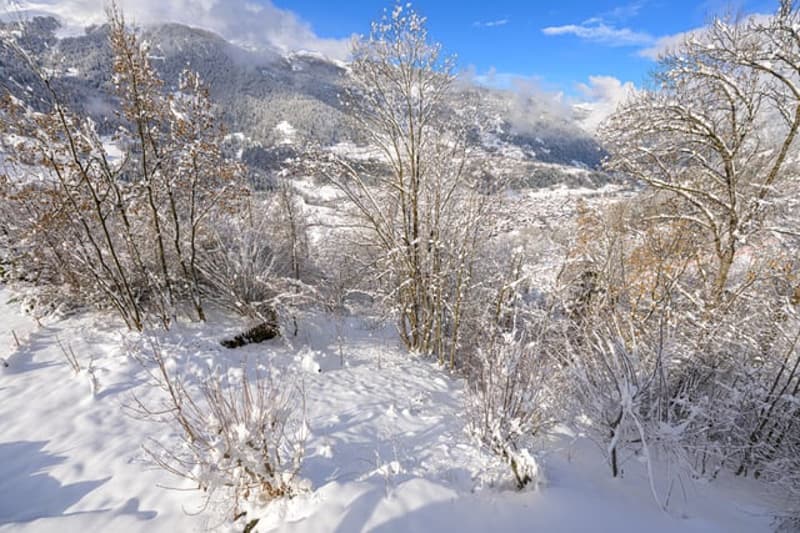 Chalet de 4.5 pièces à louer à Sarreyer, Valais (20)
