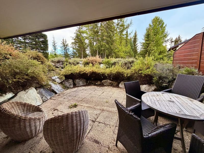 Appartement de 2,5 pièces avec terrasse à proximité des pistes - Plans-Mayens (2)