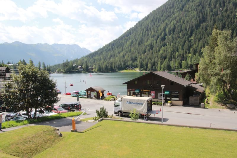 Lussuoso appartamento arredato in vendita a Champex-Lac. (2)