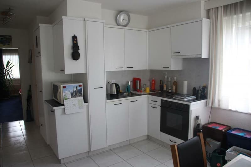 Spacious 3.5-room apartment of 98 m2 + 2 balconies totaling 24 m2 crossing and located on the south side of the building (9)