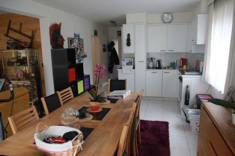 Spacious 3.5-room apartment of 98 m2 + 2 balconies totaling 24 m2 crossing and located on the south side of the building (8)