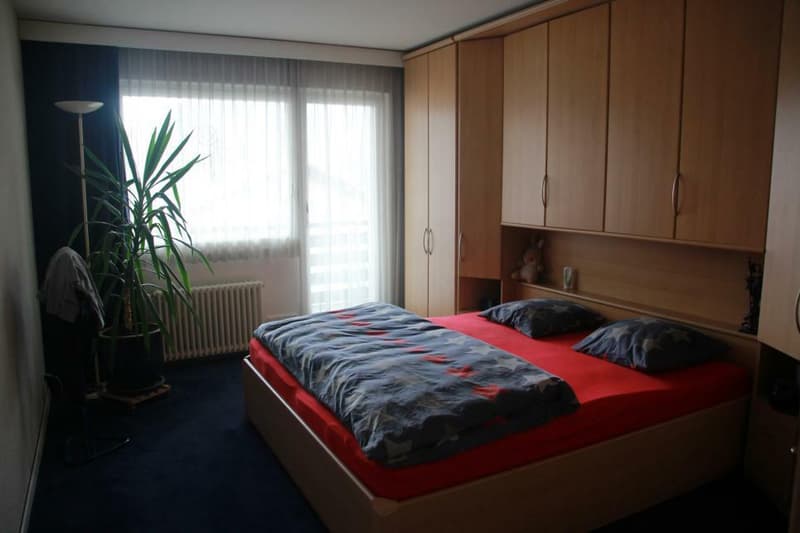 Spacious 3.5-room apartment of 98 m2 + 2 balconies totaling 24 m2 crossing and located on the south side of the building (11)