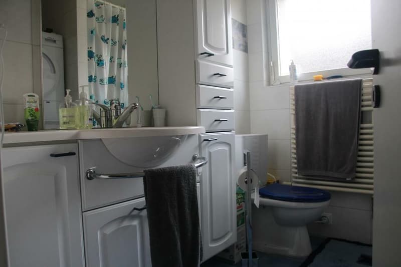 Spacious 3.5-room apartment of 98 m2 + 2 balconies totaling 24 m2 crossing and located on the south side of the building (10)