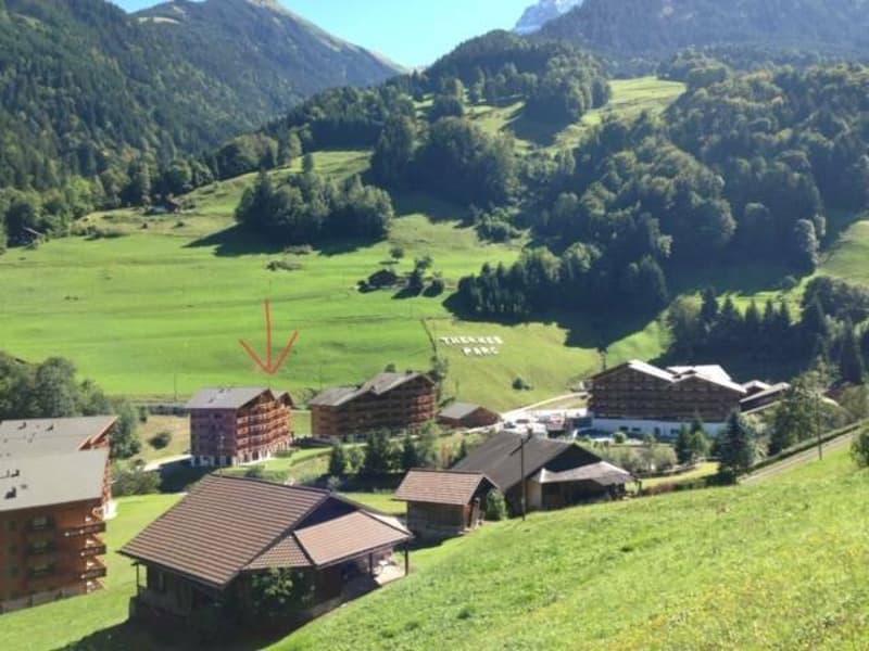 Bello appartamento arredato di 3,5 locali di 69,66 m2 + posto auto in garage, cantina e armadio per sci (3)