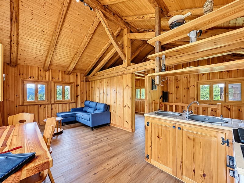 Sanctuaire alpin – autonomie, chaleur et évasion proche Verbier (4)