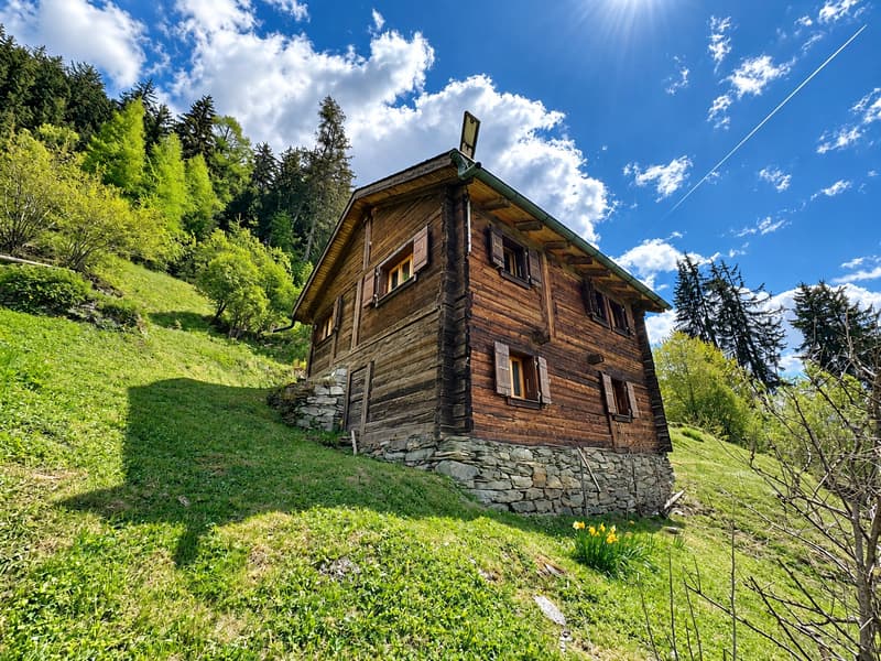 Sanctuaire alpin – autonomie, chaleur et évasion proche Verbier (15)