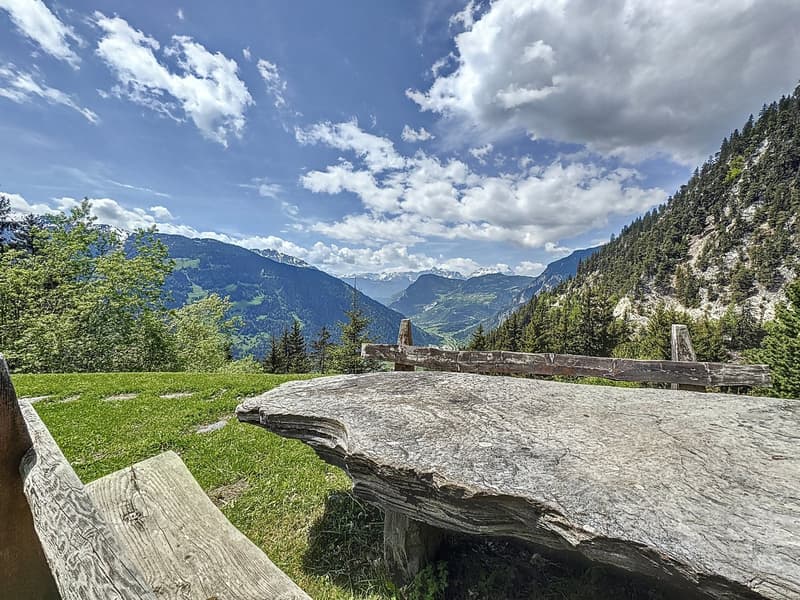 Sanctuaire alpin – autonomie, chaleur et évasion proche Verbier (22)