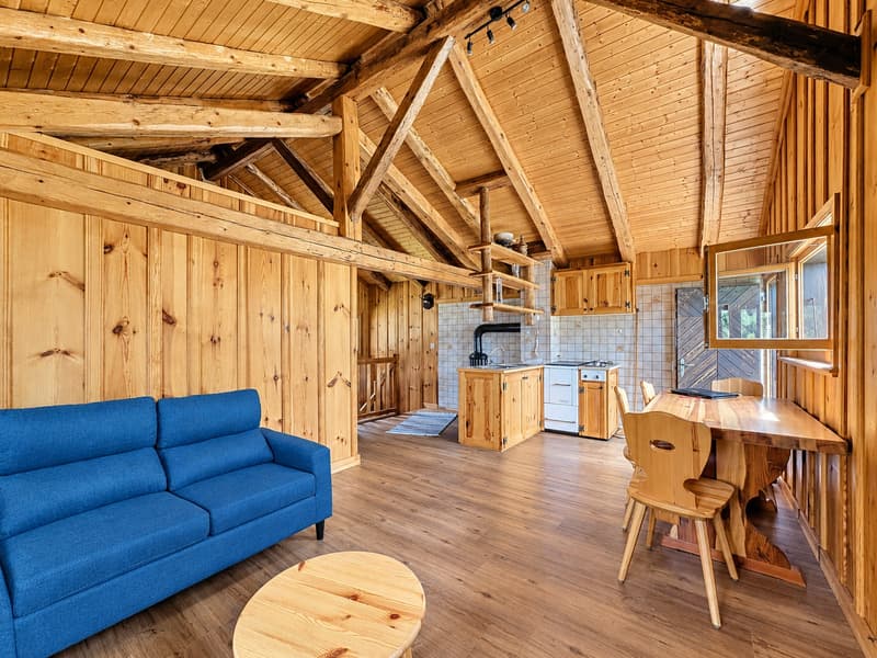Sanctuaire alpin – autonomie, chaleur et évasion proche Verbier (5)