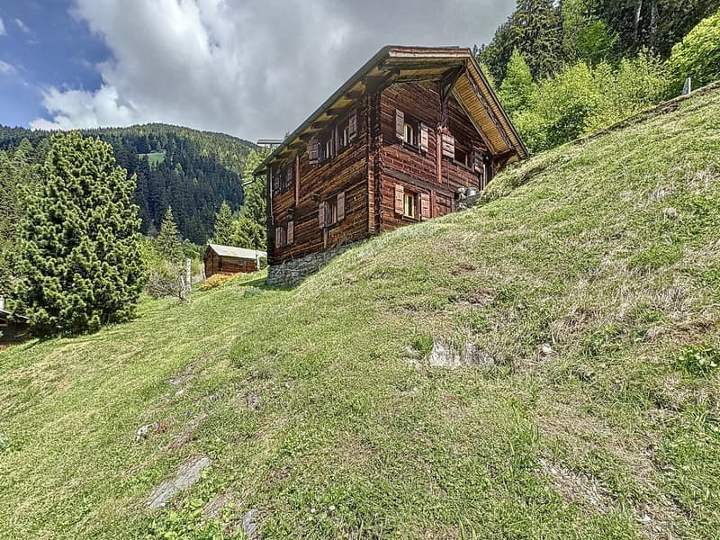 Sanctuaire alpin – autonomie, chaleur et évasion proche Verbier (20)