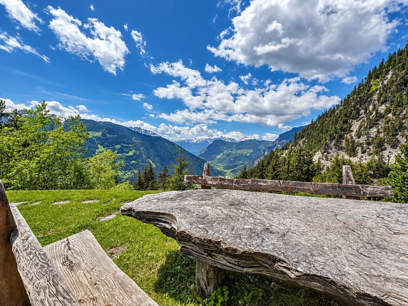Sanctuaire alpin – autonomie, chaleur et évasion proche Verbier (3)