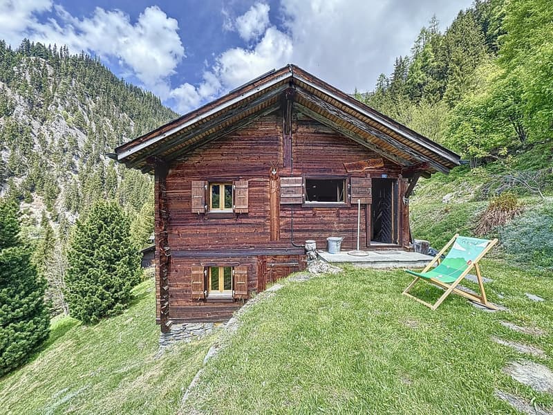 Sanctuaire alpin – autonomie, chaleur et évasion proche Verbier (17)