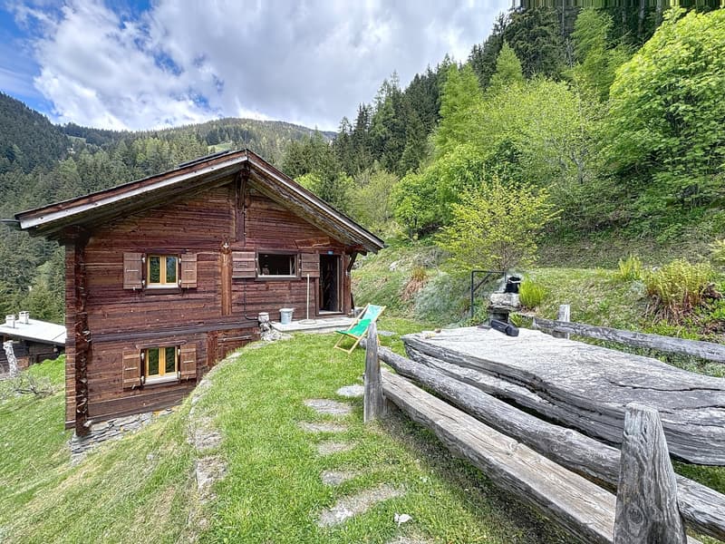 Sanctuaire alpin – autonomie, chaleur et évasion proche Verbier (23)