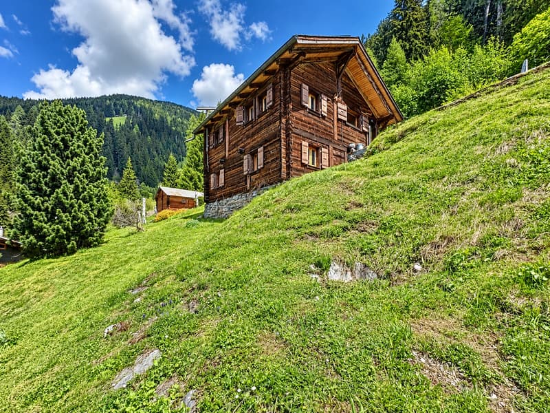 Sanctuaire alpin – autonomie, chaleur et évasion proche Verbier (16)