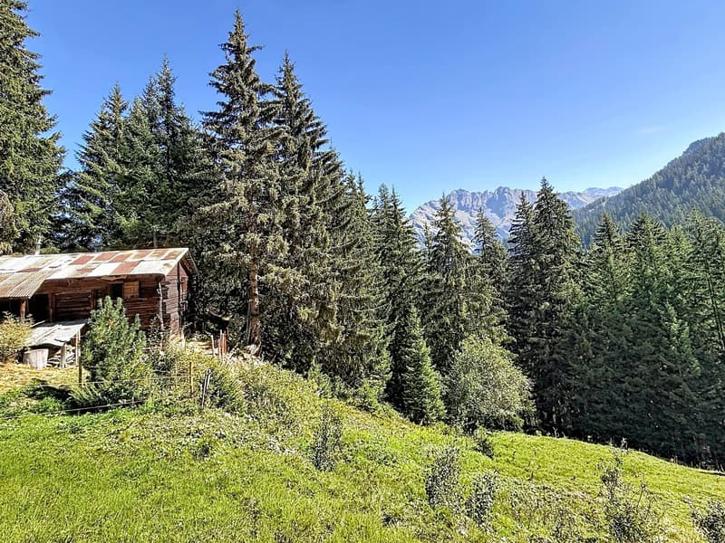 Un morceau d'histoire bagnarde à 1'700 m (3)