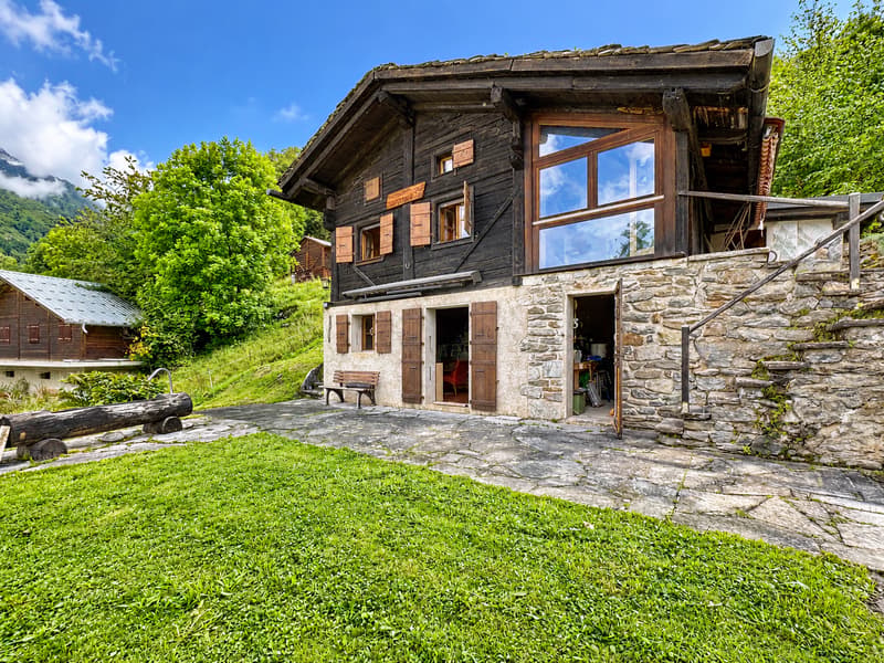 Parenthèse alpine – nature brute et silence retrouvé (16)