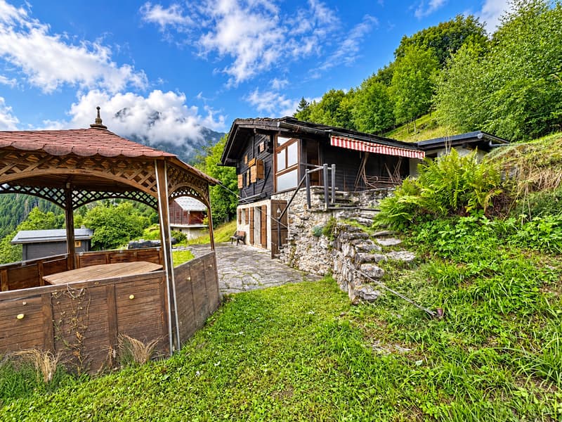 Parenthèse alpine – nature brute et silence retrouvé (15)