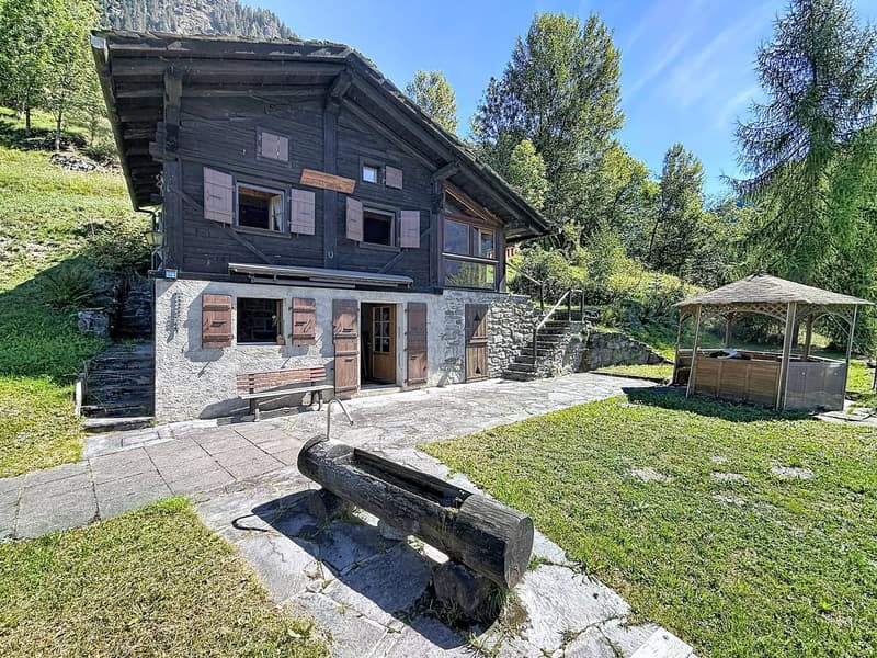 Parenthèse alpine – nature brute et silence retrouvé (2)