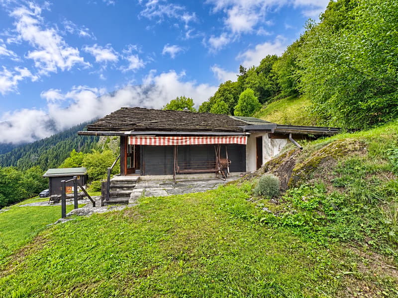 Parenthèse alpine – nature brute et silence retrouvé (14)
