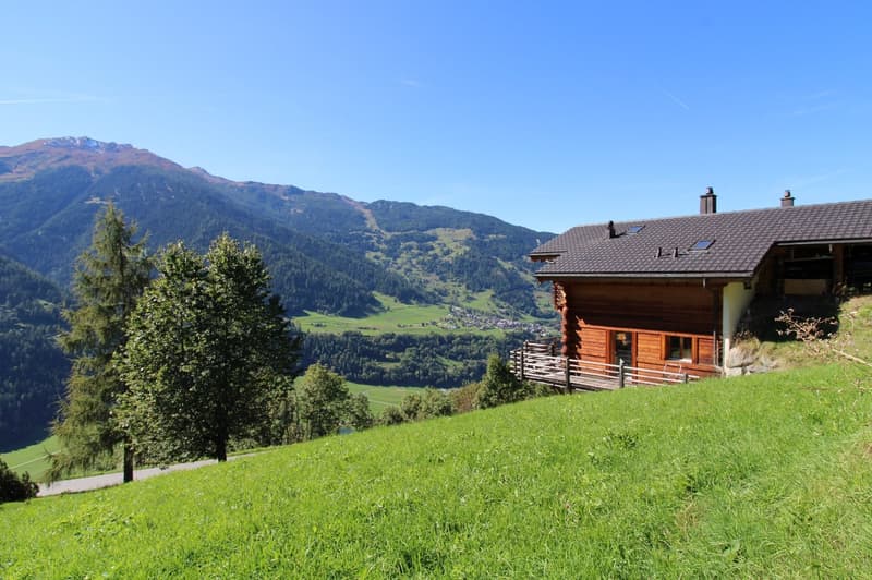 Terrain à bâtir de 459 m² à Sarreyer, vue plongeante sur la vallée (5)