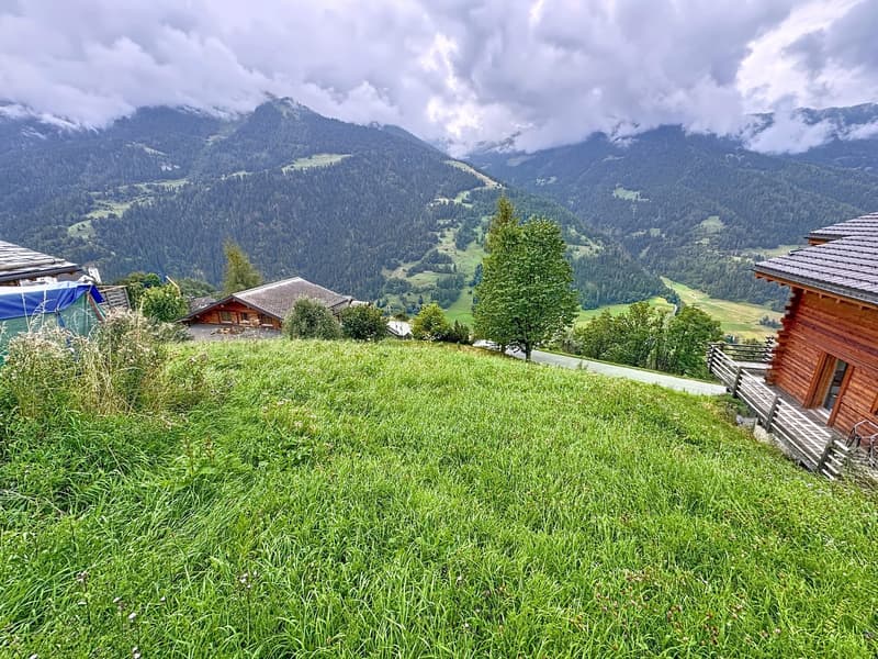 Terrain à bâtir de 459 m² à Sarreyer, vue plongeante sur la vallée (14)