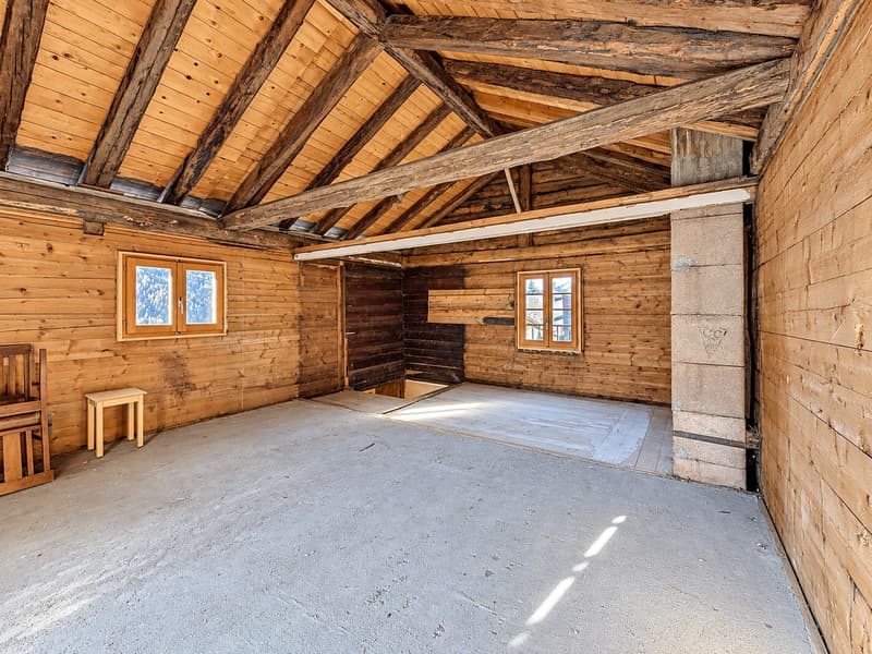 Chalet à rénover – L'âme d'une grange alpine à Sarreyer (3)