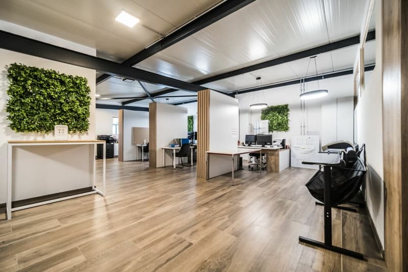 250 m2 offices already furnished and fitted (7)