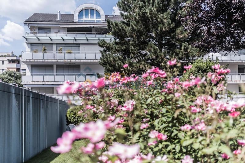 Apartment 5.5 rooms in Sion (6)