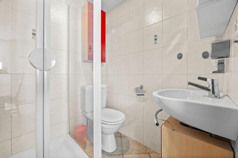 Chalet with 4.5 rooms (8)