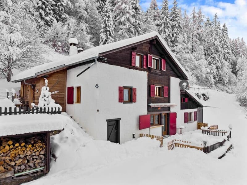 Chalet with 4.5 rooms (1)