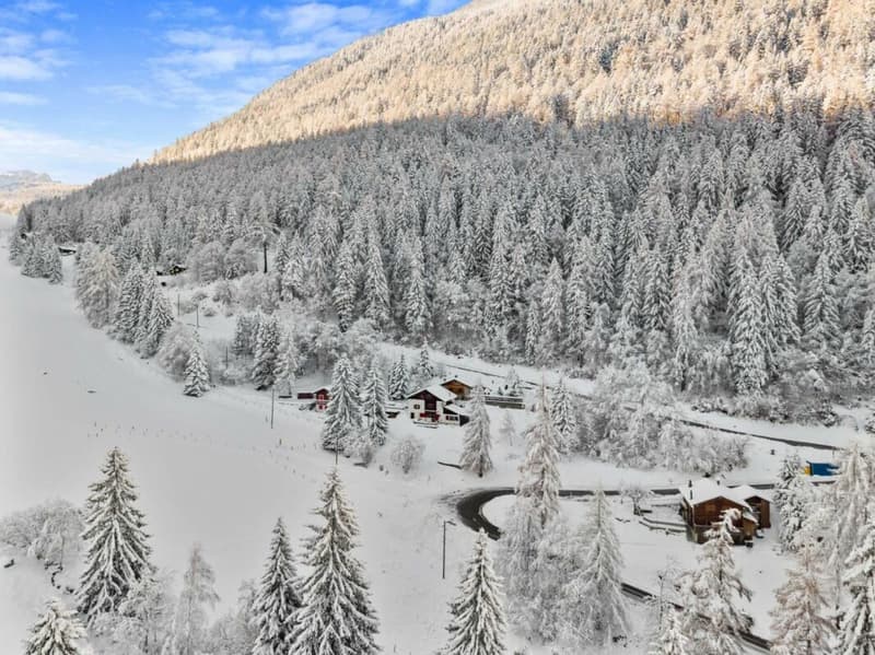 Chalet with 4.5 rooms (21)
