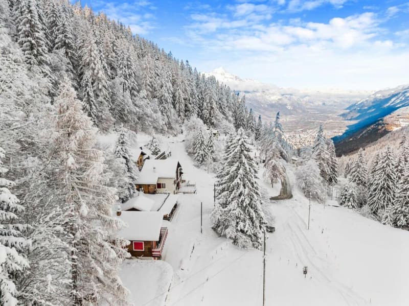 Chalet with 4.5 rooms (19)