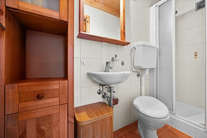 Chalet with 4.5 rooms (14)