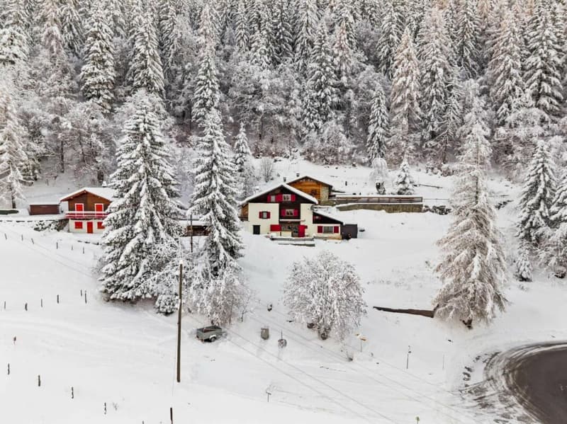 Chalet with 4.5 rooms (20)