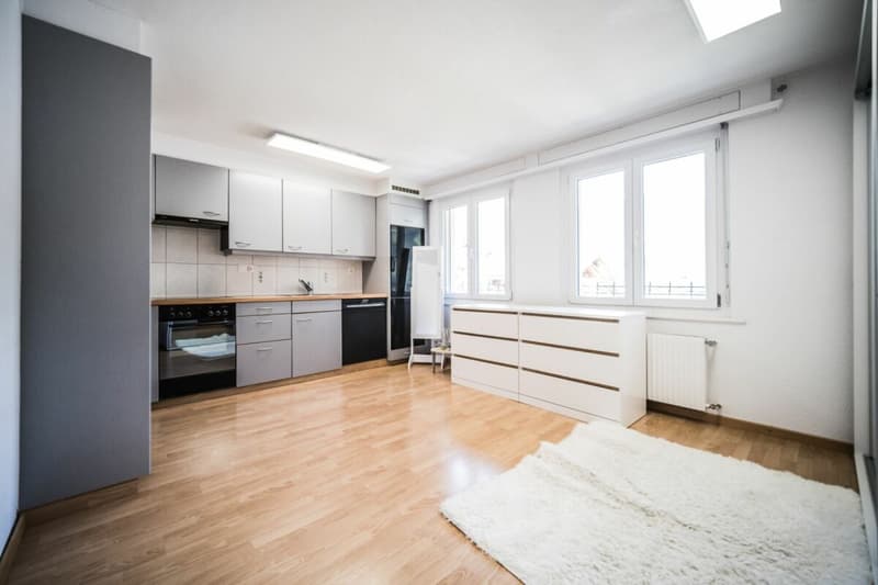 Very beautiful family home with multi-occupancy in PPE - secondary residence possible! (12)