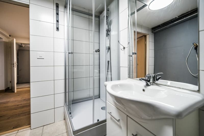 Petite maison villageoise constitutée de deux studios (9)