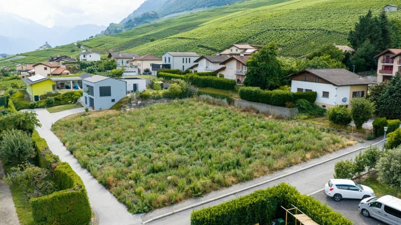 Les Vignobles de l'Arche - Lot n° 2 (8)