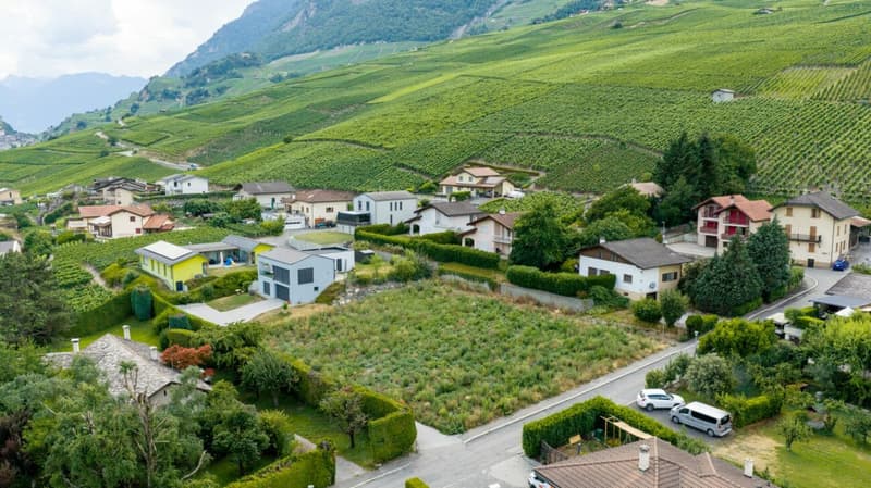 Les Vignobles de l'Arche - Lot n° 2 (10)