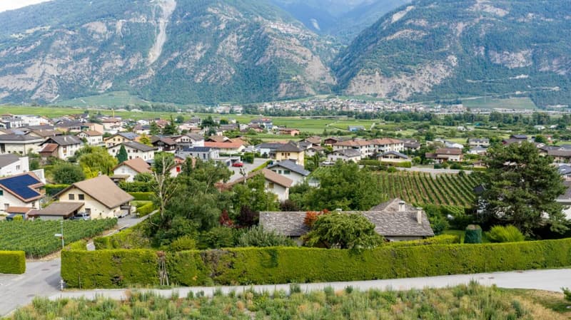 Les Vignobles de l'Arche - Lot n° 2 (5)