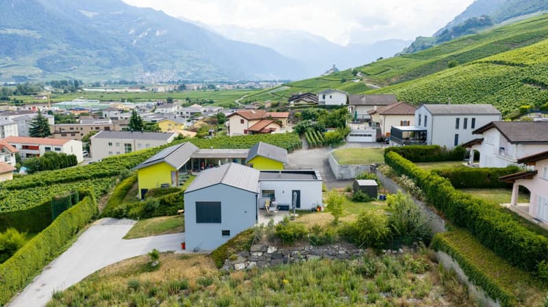 Les Vignobles de l'Arche - Lot n° 2 (9)