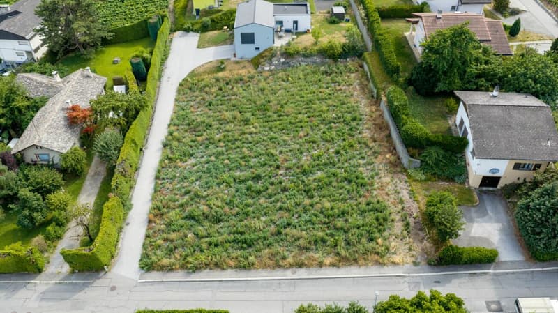 Les Vignobles de l'Arche - Lot n° 3 (11)