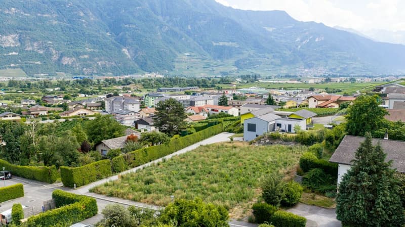 Les Vignobles de l'Arche - Lot n° 3 (7)
